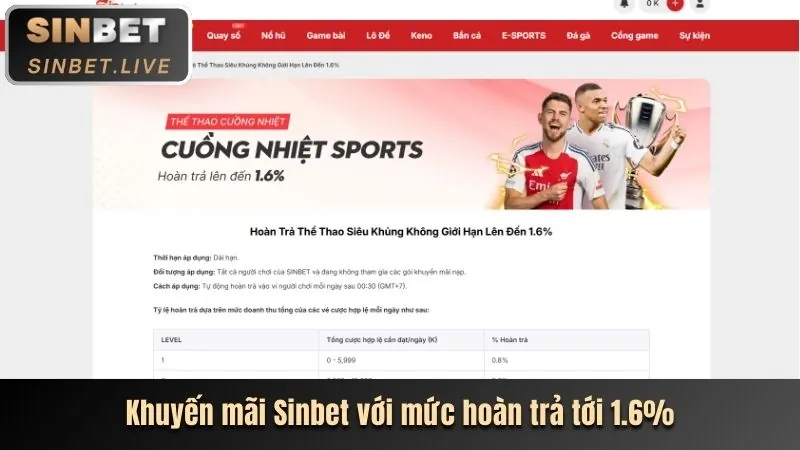 Cá cược thể thao với nhiều môn phổ biến